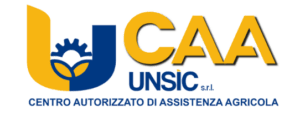 Caf Sanremo Unsic Organizzazioni Unsic 00003