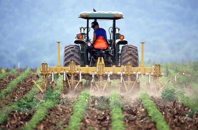 ENASC: Inps: contribuzione in agricoltura – compilazione elenchi braccianti 2024