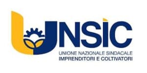 logo Unsic