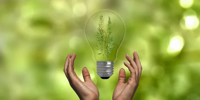 UNSIC: Investimenti sostenibili 4.0: incentivi per la transizione digitale e verde delle imprese del Sud – UNSIC