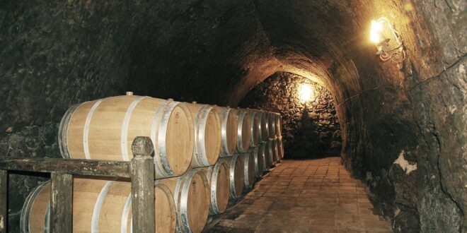 UNSIC: Veneto: contributi per investimenti nel settore vitivinicolo – UNSIC