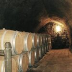 UNSIC: Cantine aperte 2025: San Martino celebra il vino e la cultura del territorio - UNSIC 2 cantina 660x330