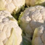 UNSIC: Cavolfiore, produzione in crescita in Italia: Puglia prima - UNSIC 2 cavolfiori 660x330
