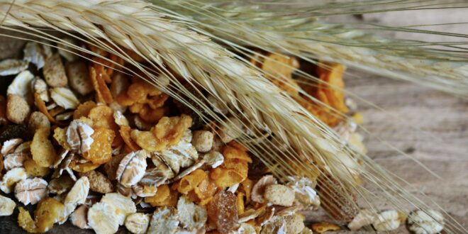 UNSIC: Nasce Healtion Group: il nuovo polo italiano del cibo salutare – UNSIC