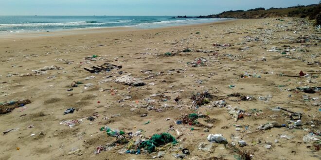 UNSIC: Inquinamento nel Mediterraneo: plastica in più di una “palla di mare” su tre – UNSIC