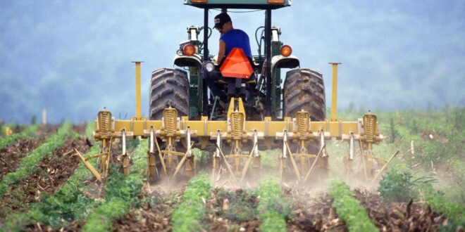 UNSIC: Cresce l’agricoltura italiana: record europeo ma meno occupati – UNSIC