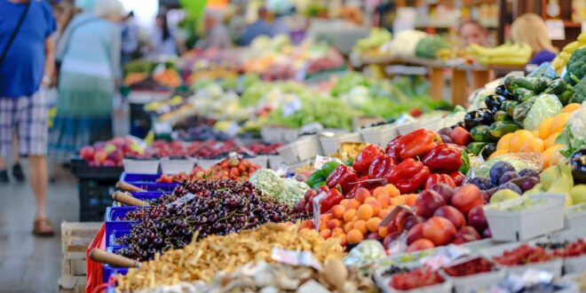 UNSIC: Crea: in flessione il fatturato dell’industria alimentare – UNSIC