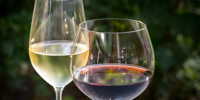 UNSIC: L’inflazione rallenta ma il vino resta in calo – UNSIC