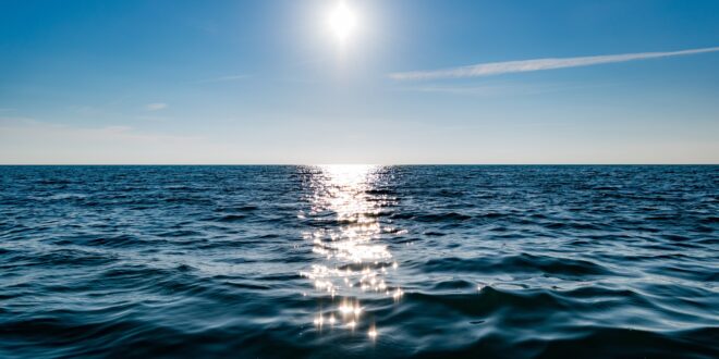 UNSIC: Mediterraneo in allarme: ondate di calore fino a 40 metri e coralli sotto stress – UNSIC