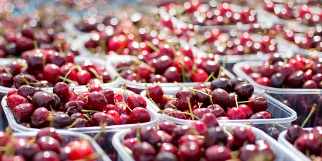 UNSIC: Ambiente e imballaggi: nuove regole dal 12 agosto – UNSIC