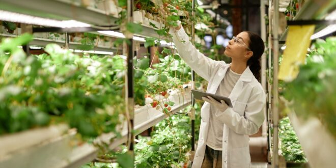 UNSIC: “Foodtech incubator”, bando per la selezione di 10 progetti – UNSIC